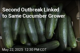 FDA Announces Cucumber Recall