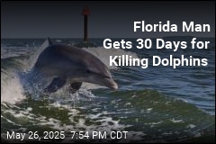 Florida Man Gets 30 Days for Killing Dolphins