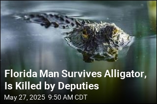 He Escaped the Alligator, Is Shot Dead by Deputies