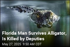 He Escaped the Alligator, Is Shot Dead by Deputies