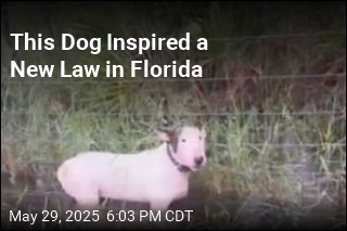 This Dog Inspired a New Law in Florida