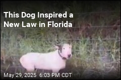 This Dog Inspired a New Law in Florida
