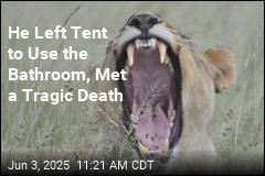 Lion Kills Camper in Need of Bathroom