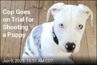 Cop Goes on Trial for Shooting a Puppy