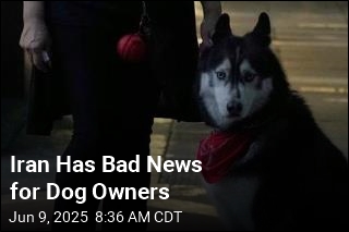 Iran Cracks Down on ... Dog Walking