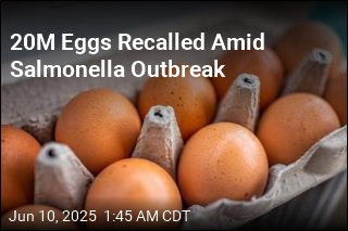 20M Eggs Recalled Amid Salmonella Outbreak