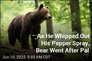 Report: Hiker Thrown Off Cliff&mdash;by a Bear
