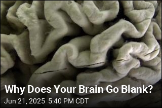 Why Does Your Brain Go Blank?