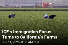 ICE&#39;s Immigration Raids Shift to California&#39;s Farms
