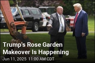 Trump&#39;s Rose Garden Makeover Is Underway