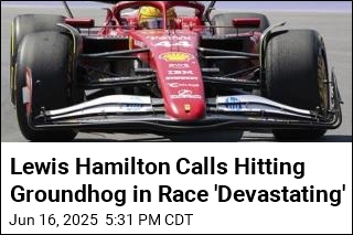 Lewis Hamilton Calls Hitting Groundhog in Race &#39;Devastating&#39;