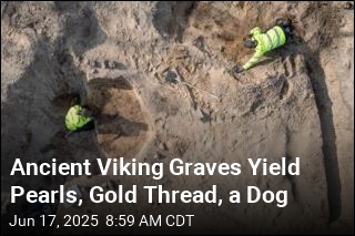 Among Viking Graves: Pearls, Gold Thread, and a Dog