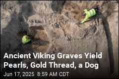 Among Viking Graves: Pearls, Gold Thread, and a Dog