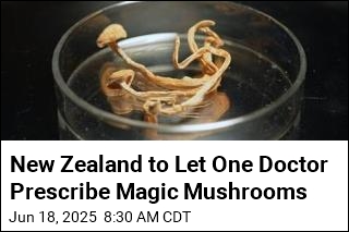 A Single NZ Psychiatrist Can Prescribe Magic Mushrooms