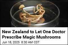 A Single NZ Psychiatrist Can Prescribe Magic Mushrooms