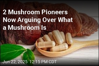2 Mushroom Pioneers Now Arguing Over What a Mushroom Is