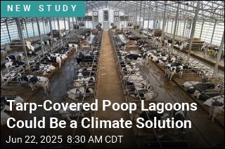 Tarp-Covered Poop Lagoons Could Be a Climate Solution