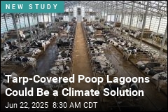 Tarp-Covered Poop Lagoons Could Be a Climate Solution