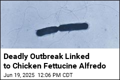 Deadly Outbreak Linked to Chicken Fettucine Alfredo