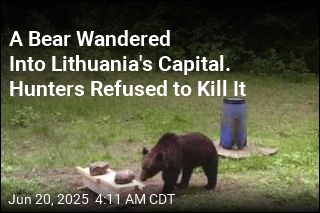 Hunters Refuse Request to Kill Bear in Lithuania&#39;s Capital