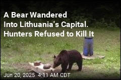 Hunters Refuse Request to Kill Bear in Lithuania&#39;s Capital