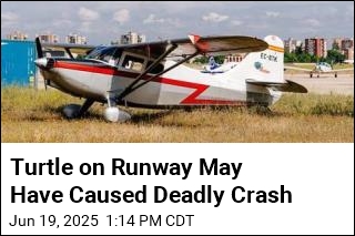 NTSB: Pilot Tried to Avoid Turtle Before Deadly Crash