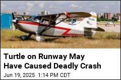 NTSB: Pilot Tried to Avoid Turtle Before Deadly Crash