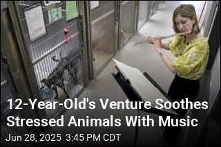 At &#39;Wild Tunes,&#39; Music Soothes Stressed-Out Shelter Animals
