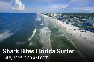 Shark Bites Florida Surfer