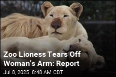 Zoo Lioness Rips Off Woman&#39;s Arm: Report