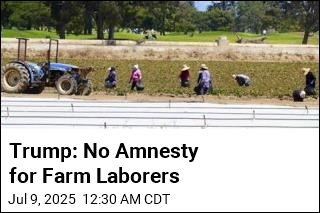 Trump: No Amnesty for Farm Laborers