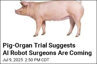 Pig-Organ Trial Suggests AI Robot Surgeons Are Coming
