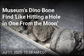 Museum&#39;s Dino Bone Find &#39;Like Hitting a Hole in One From the Moon&#39;