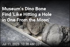 Museum&#39;s Dino Bone Find &#39;Like Hitting a Hole in One From the Moon&#39;