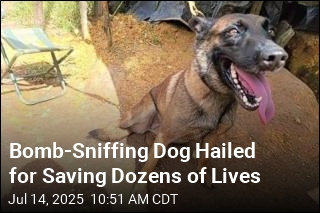 Bomb-Sniffing Dog Hailed for Saving Dozens of Lives
