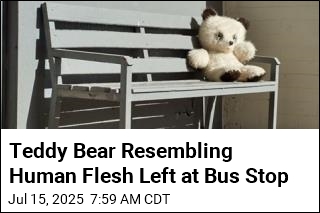 Teddy Bear Resembling Human Flesh Gets a Police Inquiry