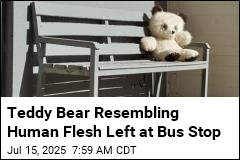 Teddy Bear Resembling Human Flesh Gets a Police Inquiry
