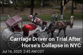 Carriage Driver on Trial After Horse&#39;s Collapse in NYC