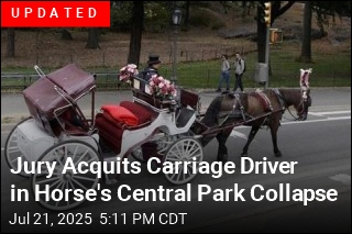 Carriage Driver on Trial After Horse&#39;s Collapse in NYC