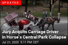 Carriage Driver on Trial After Horse&#39;s Collapse in NYC