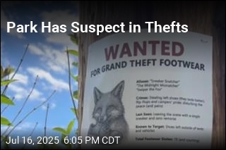 Signs Point to Fox as Shoe Thief