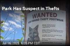 Signs Point to Fox as Shoe Thief