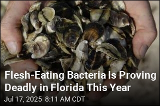 Flesh-Eating Bacteria Has Killed 4 in Florida This Year