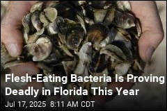 Flesh-Eating Bacteria Has Killed 4 in Florida This Year