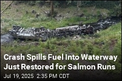 Crash Spills Fuel Into Waterway Just Restored for Salmon Runs