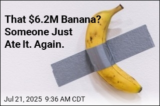 That $6.2M Banana? Someone Just Ate It. Again.