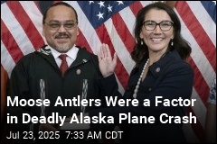 Antlers Mounted on Plane Contributed to Alaska Crash