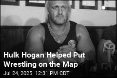 Hulk Hogan Helped Put Wrestling on the Map