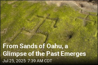 From Sands of Oahu, a Glimpse of the Past Emerges