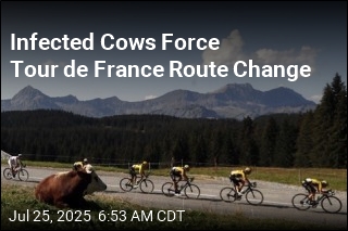 Infected Cows Force Tour de France Route Change
